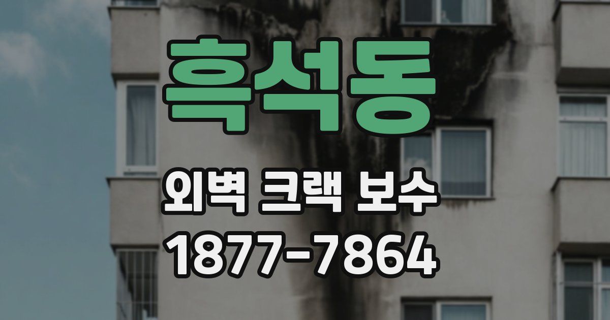 흑석동 외벽 크랙 보수