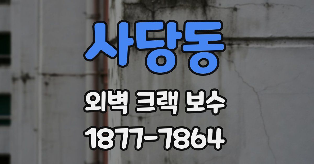사당동 외벽 크랙 보수
