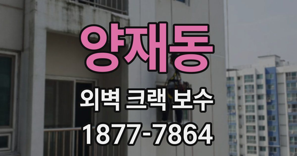 양재동 외벽 크랙 보수