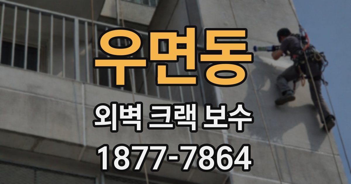 우면동 외벽 크랙 보수