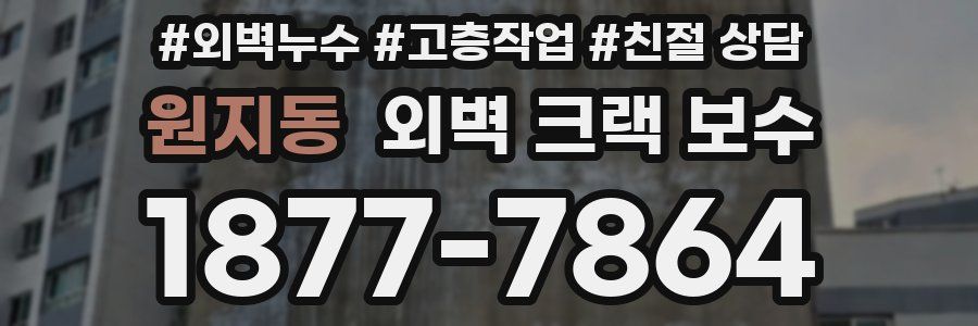 원지동 외벽 크랙 보수