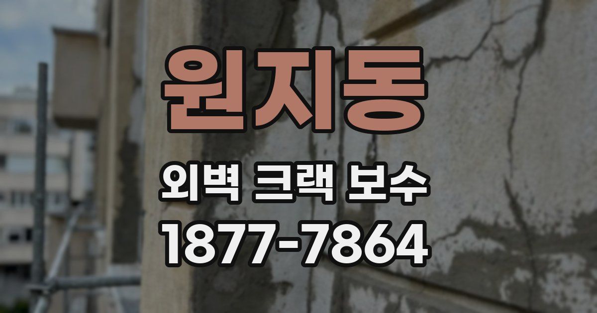 원지동 외벽 크랙 보수