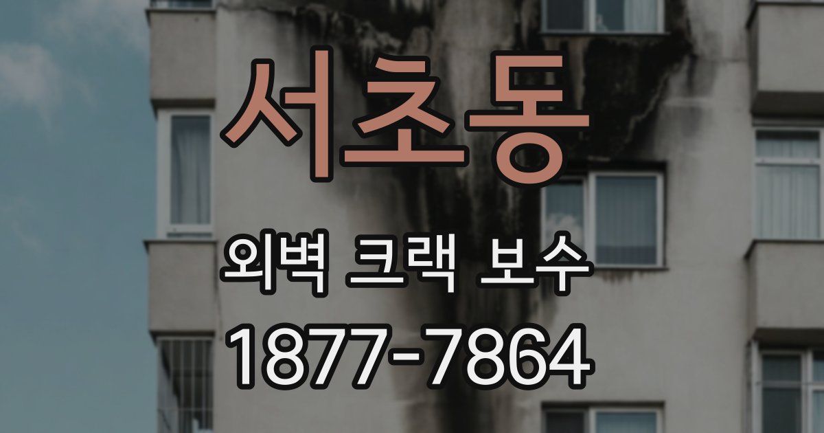 서초동 외벽 크랙 보수