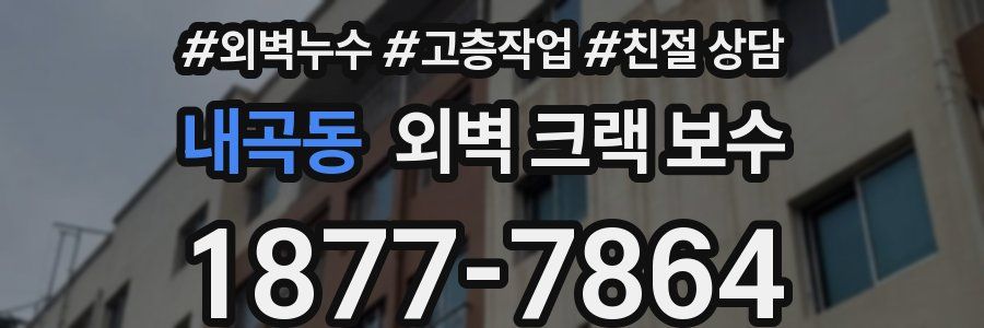 내곡동 외벽 크랙 보수