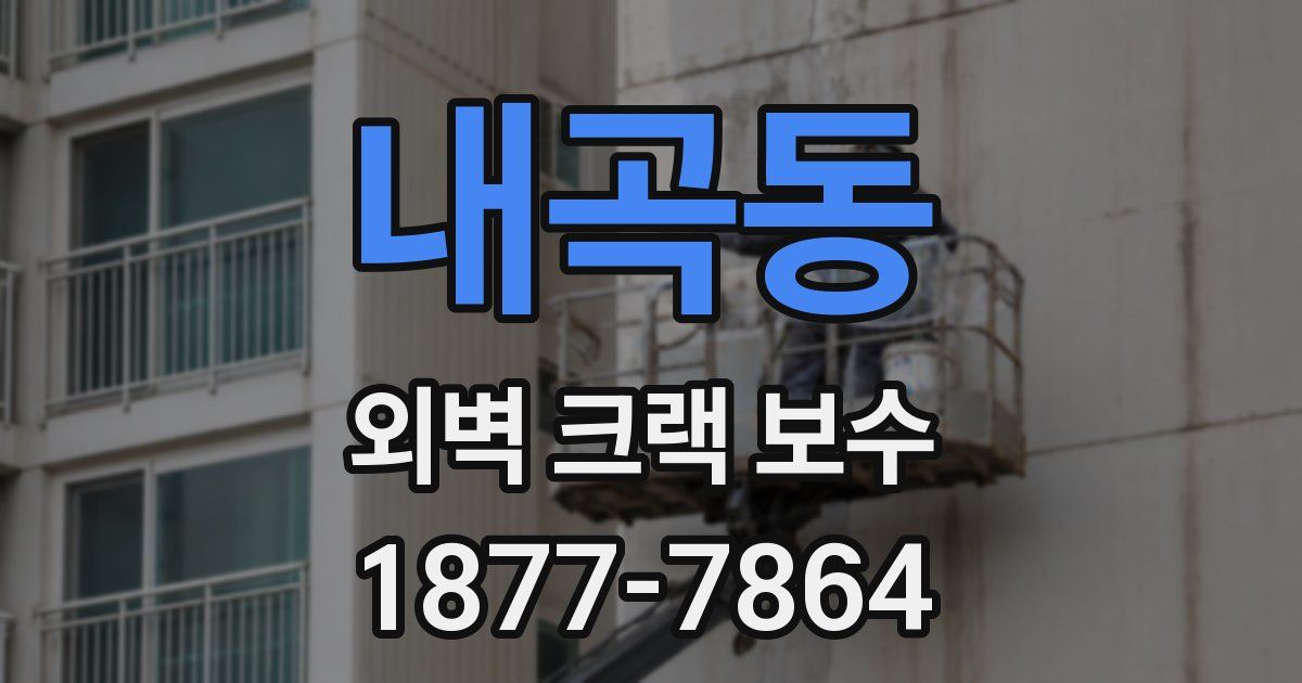 내곡동 외벽 크랙 보수