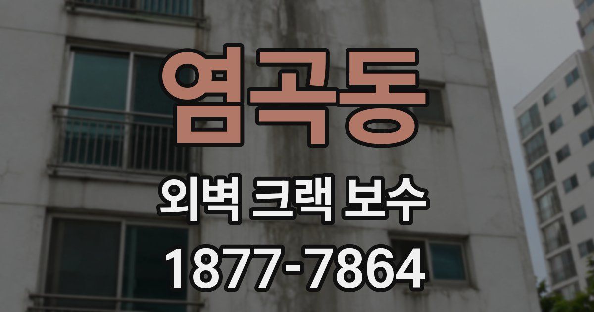 염곡동 외벽 크랙 보수