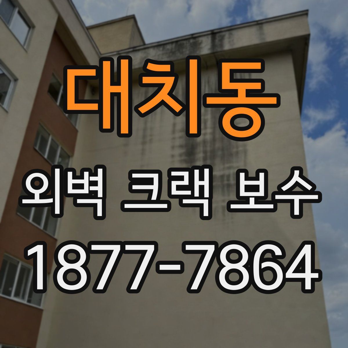 대치동 외벽 크랙 보수