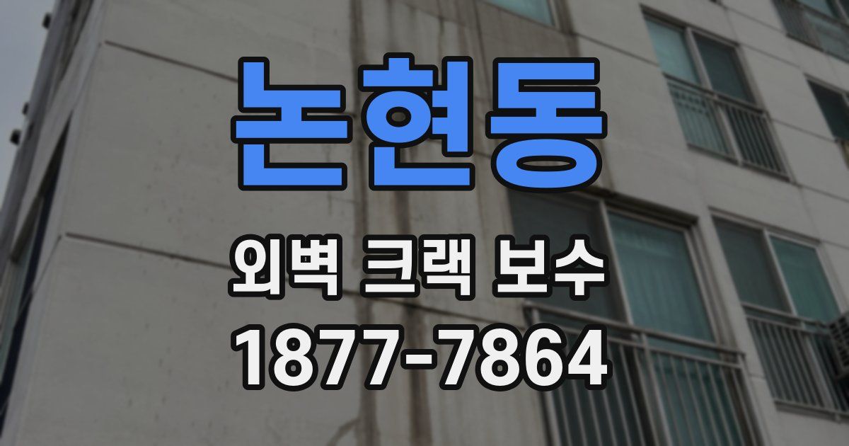 논현동 외벽 크랙 보수