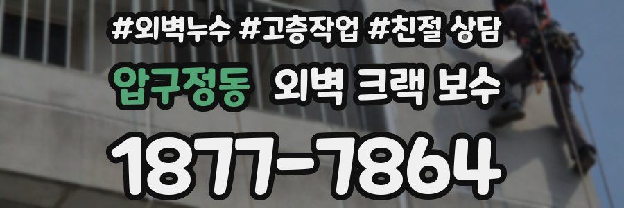 압구정동 외벽 크랙 보수