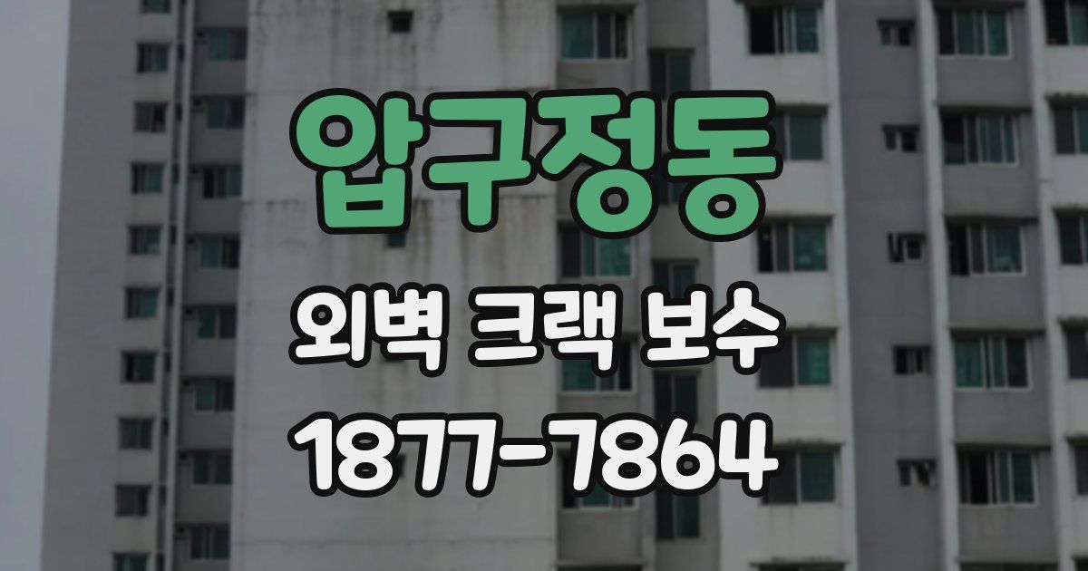 압구정동 외벽 크랙 보수