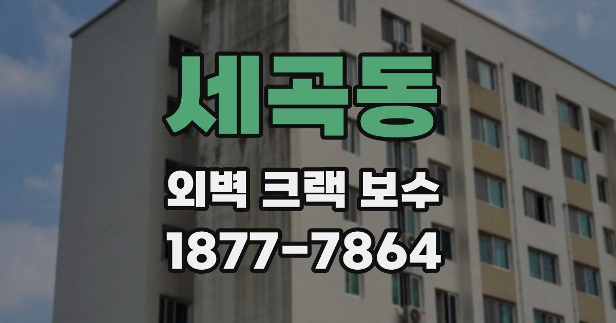 세곡동 외벽 크랙 보수