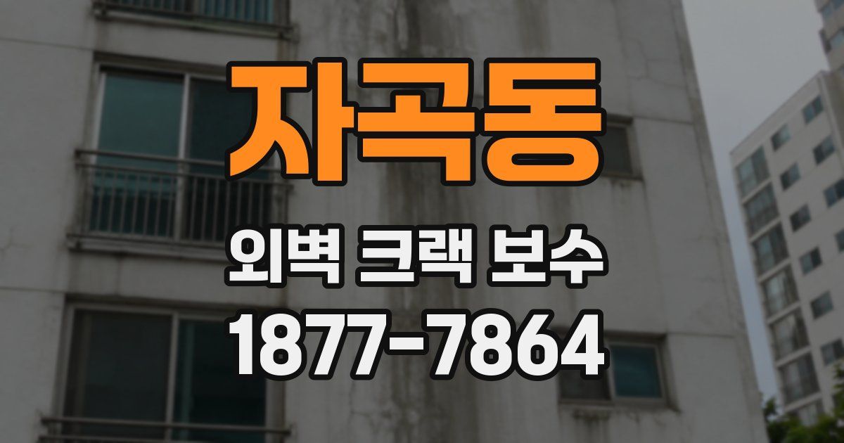 자곡동 외벽 크랙 보수