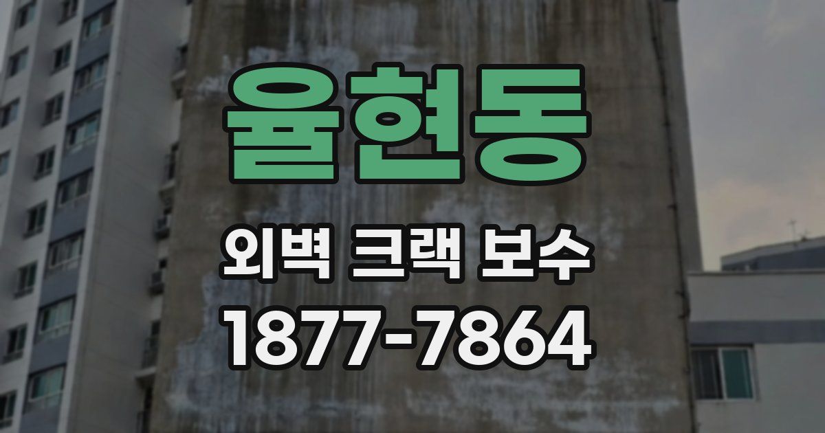 율현동 외벽 크랙 보수