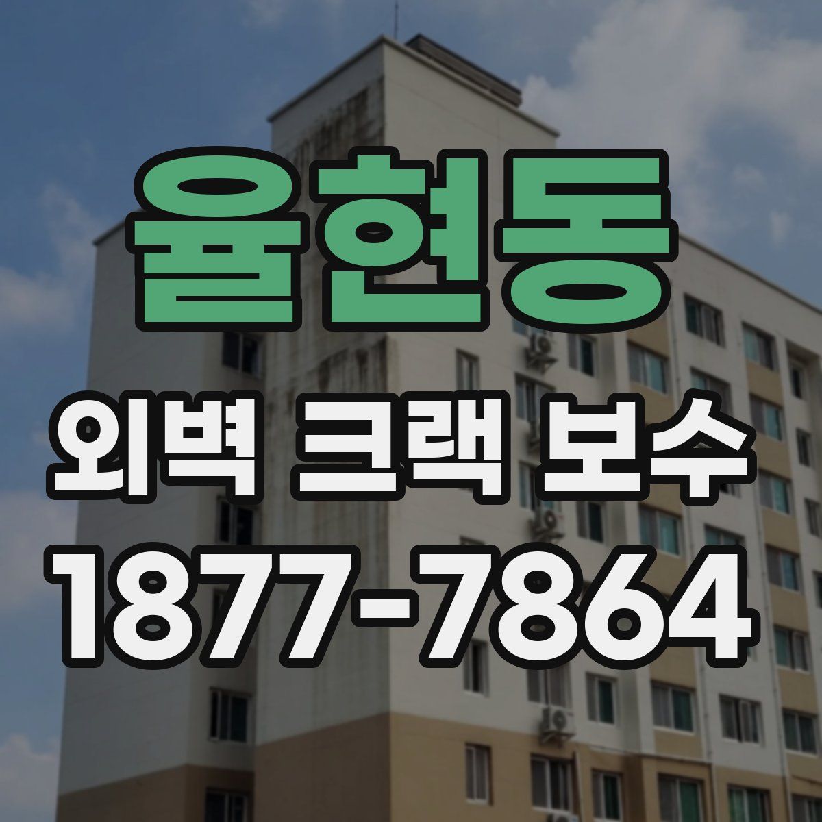 율현동 외벽 크랙 보수