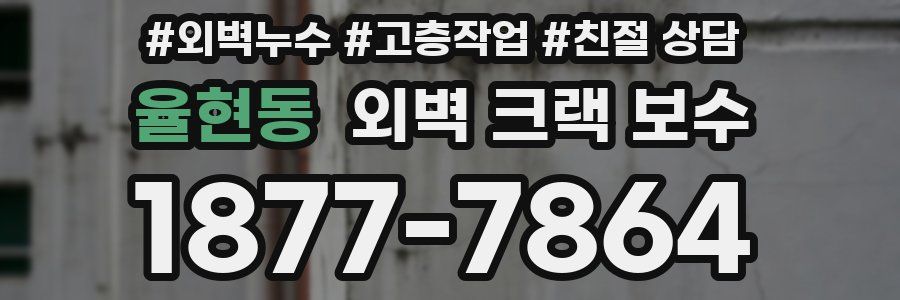 율현동 외벽 크랙 보수