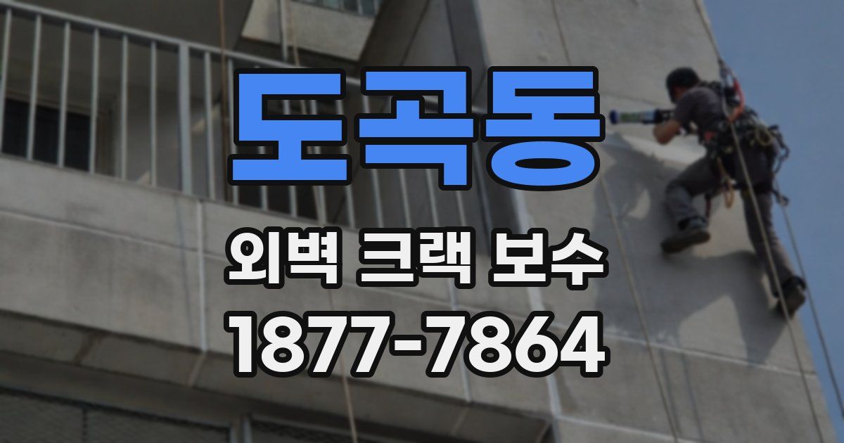 도곡동 외벽 크랙 보수