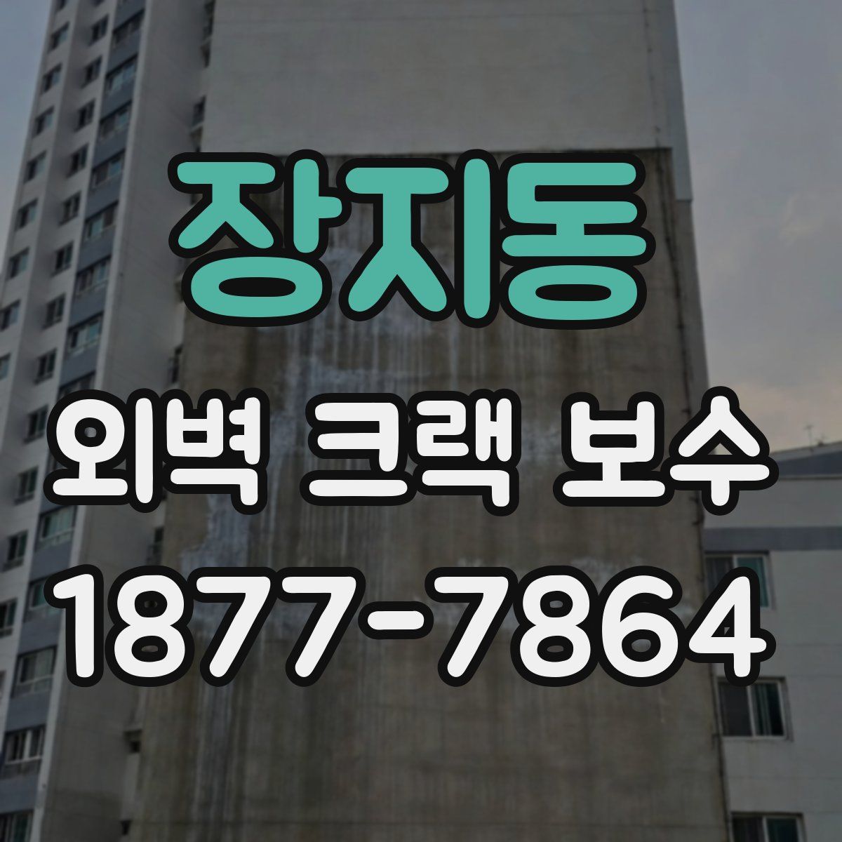 장지동 외벽 크랙 보수