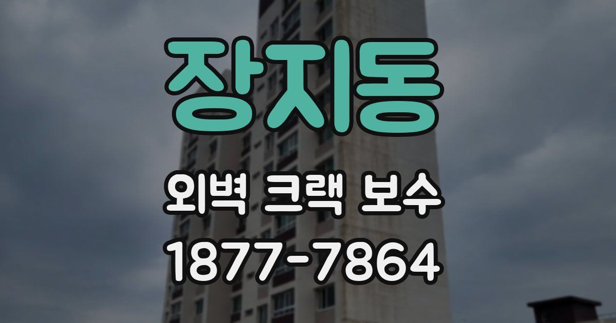 장지동 외벽 크랙 보수