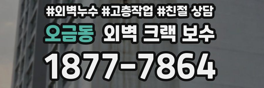 오금동 외벽 크랙 보수