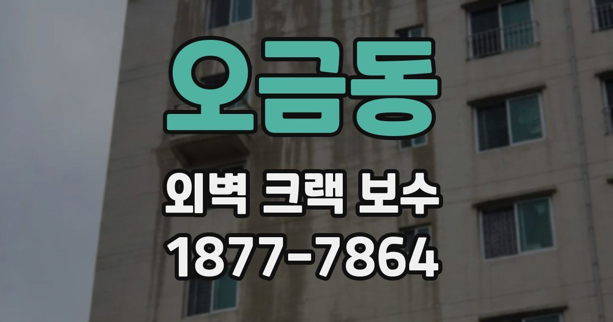 오금동 외벽 크랙 보수