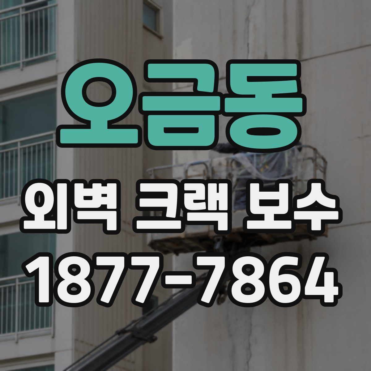 오금동 외벽 크랙 보수