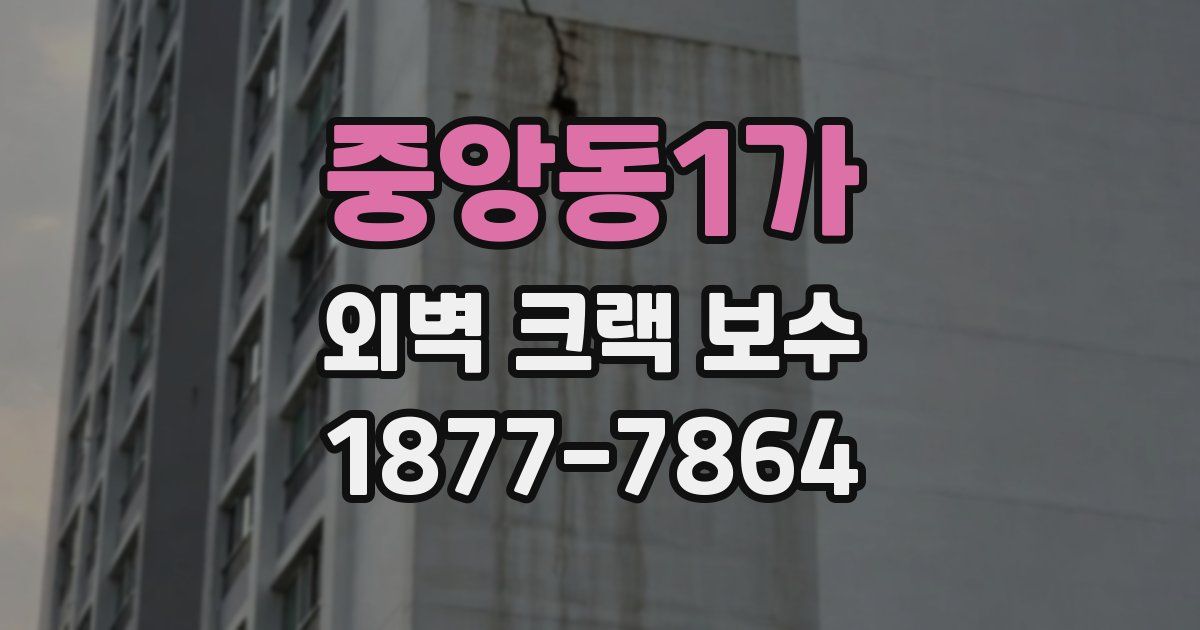 중앙동1가 외벽 크랙 보수