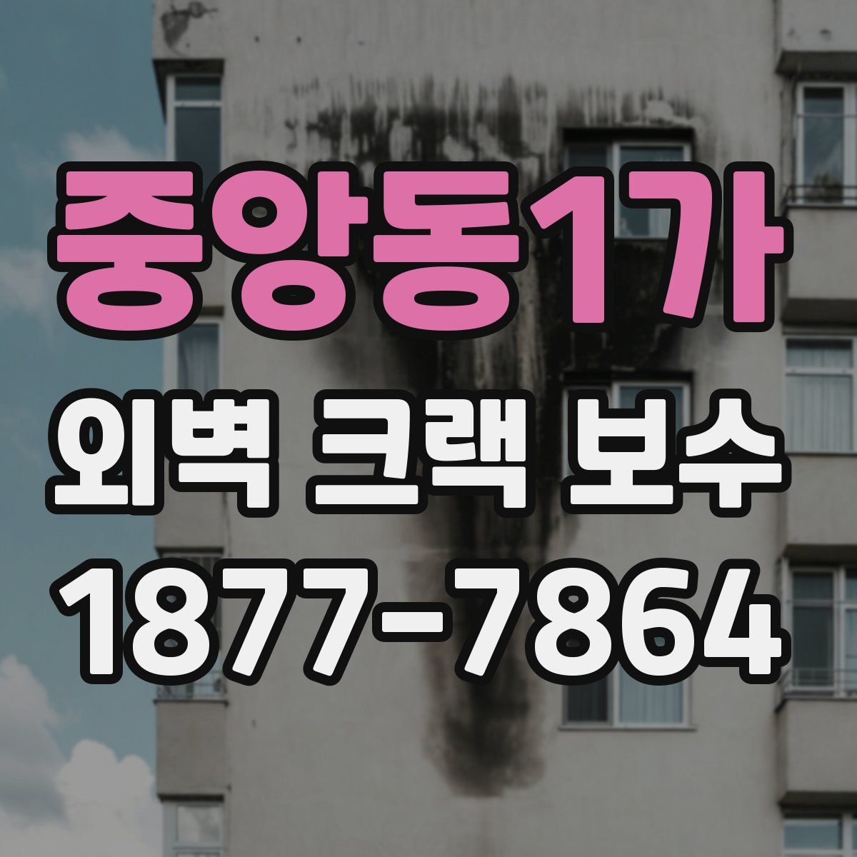 중앙동1가 외벽 크랙 보수