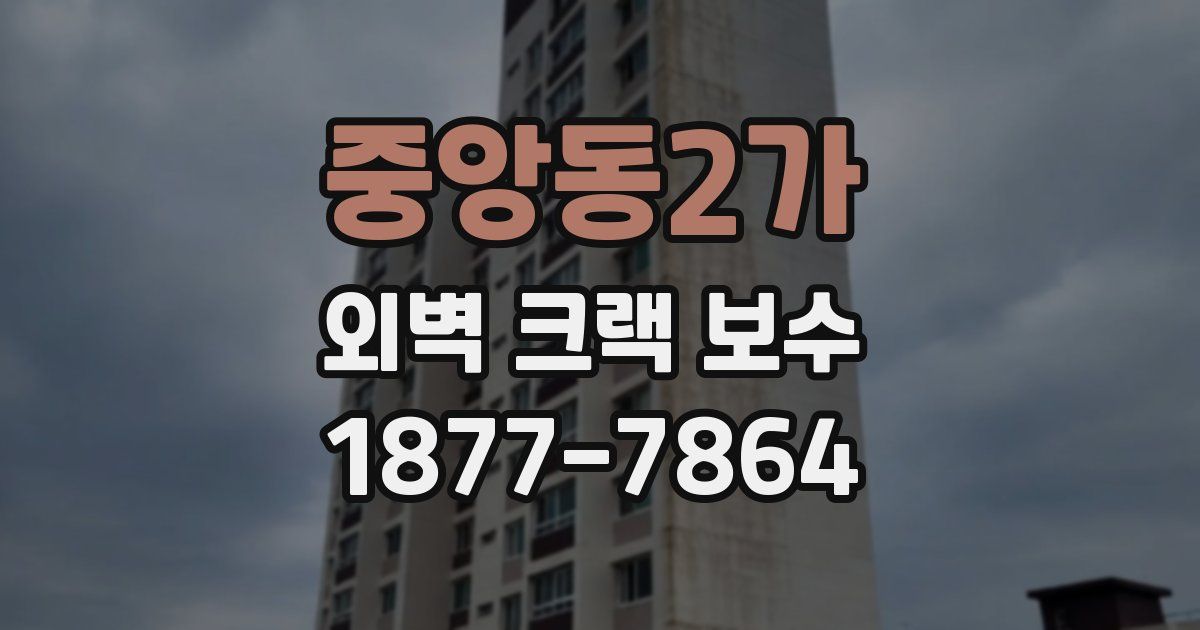 중앙동2가 외벽 크랙 보수