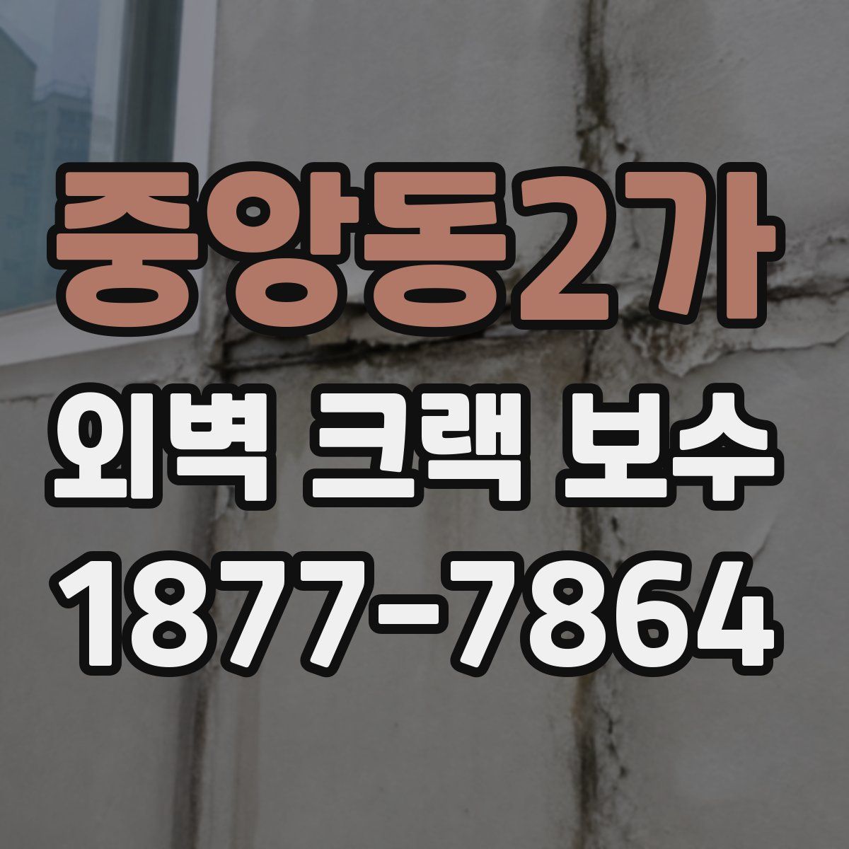 중앙동2가 외벽 크랙 보수