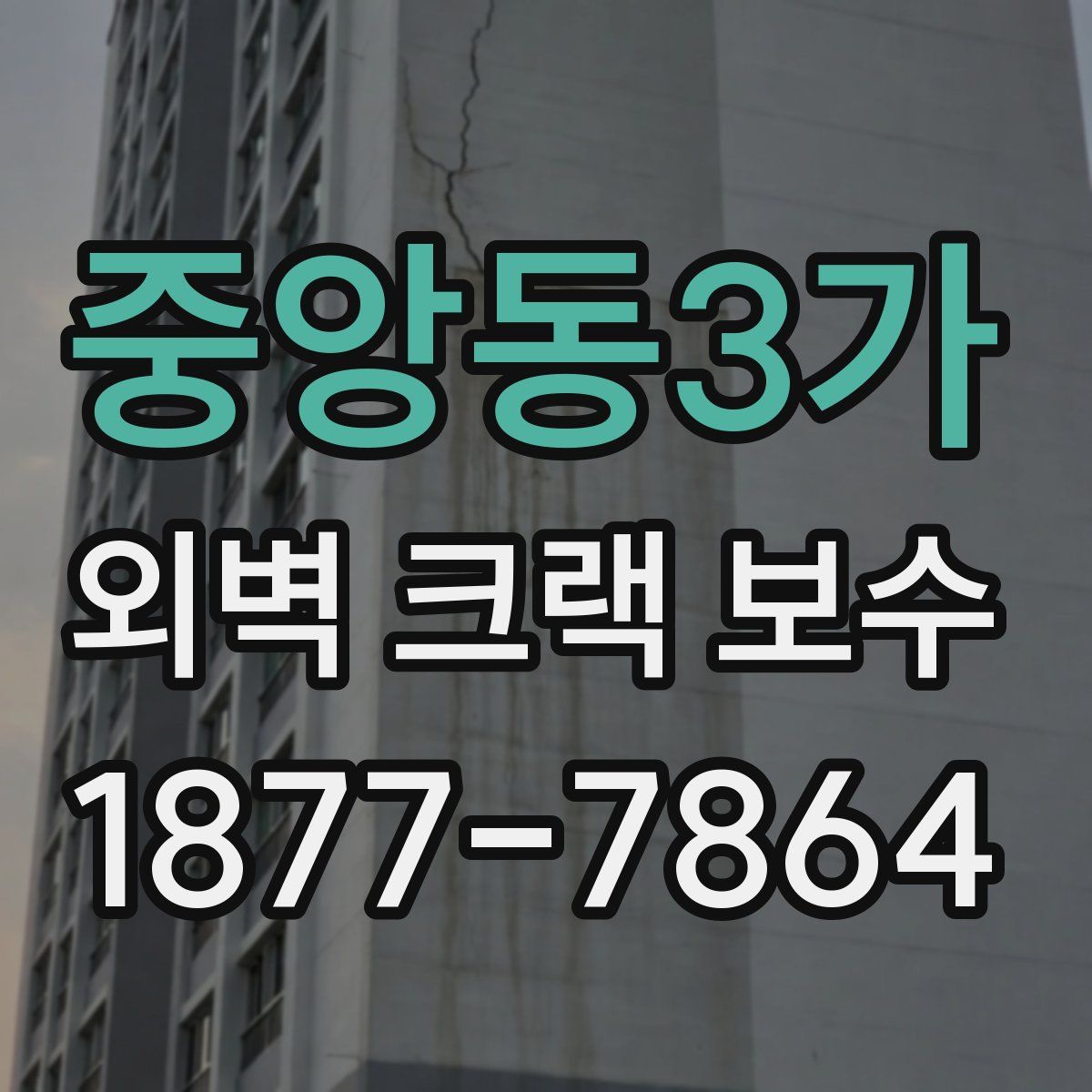 중앙동3가 외벽 크랙 보수