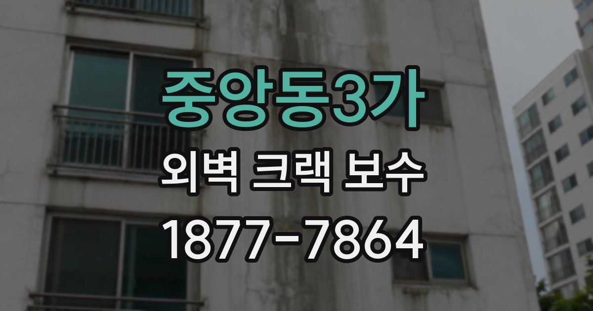 중앙동3가 외벽 크랙 보수