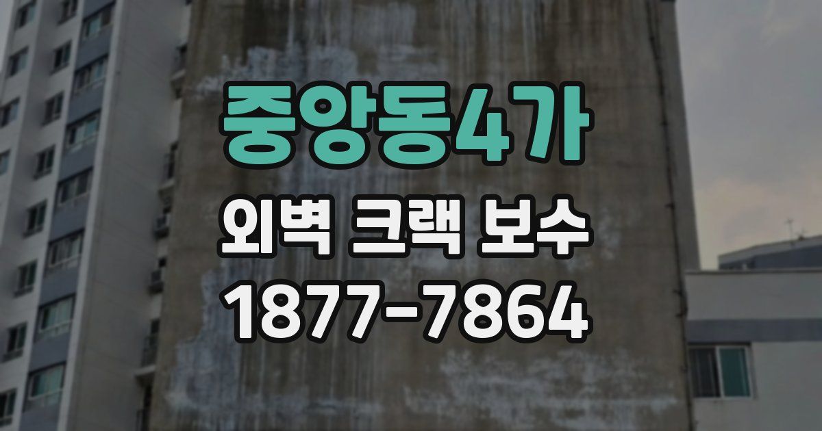 중앙동4가 외벽 크랙 보수