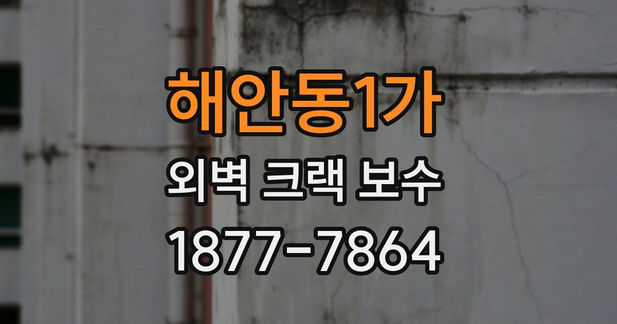 해안동1가 외벽 크랙 보수