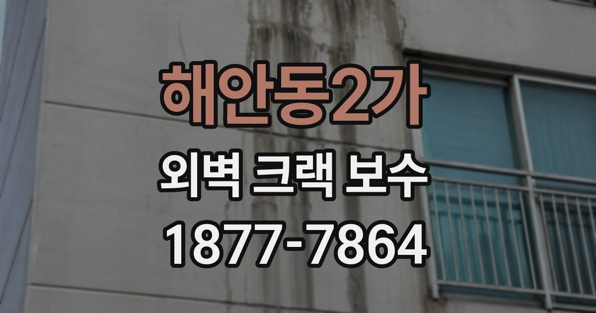 해안동2가 외벽 크랙 보수
