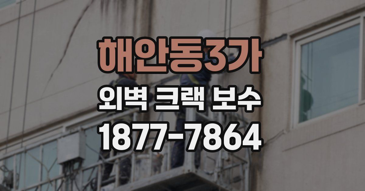 해안동3가 외벽 크랙 보수