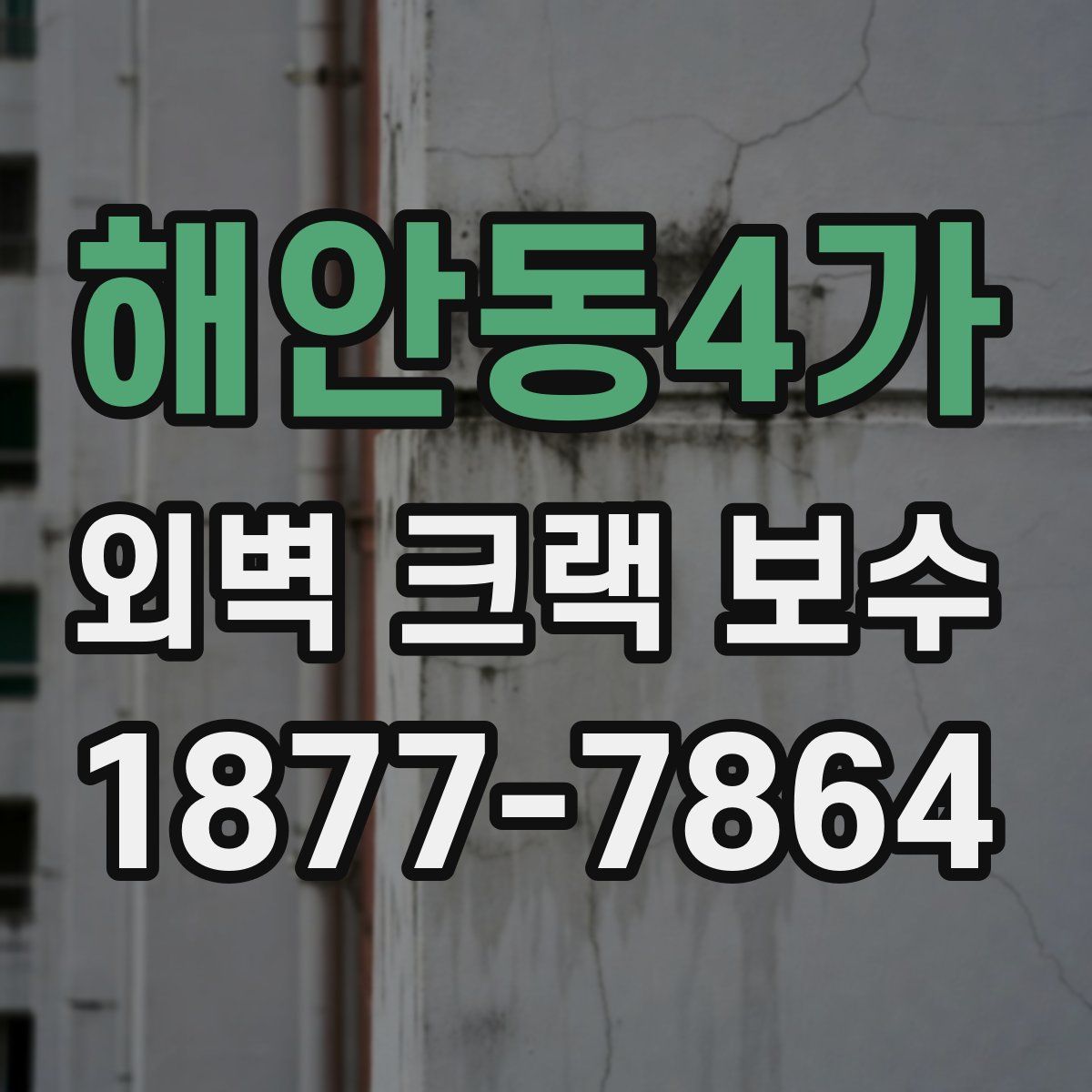해안동4가 외벽 크랙 보수
