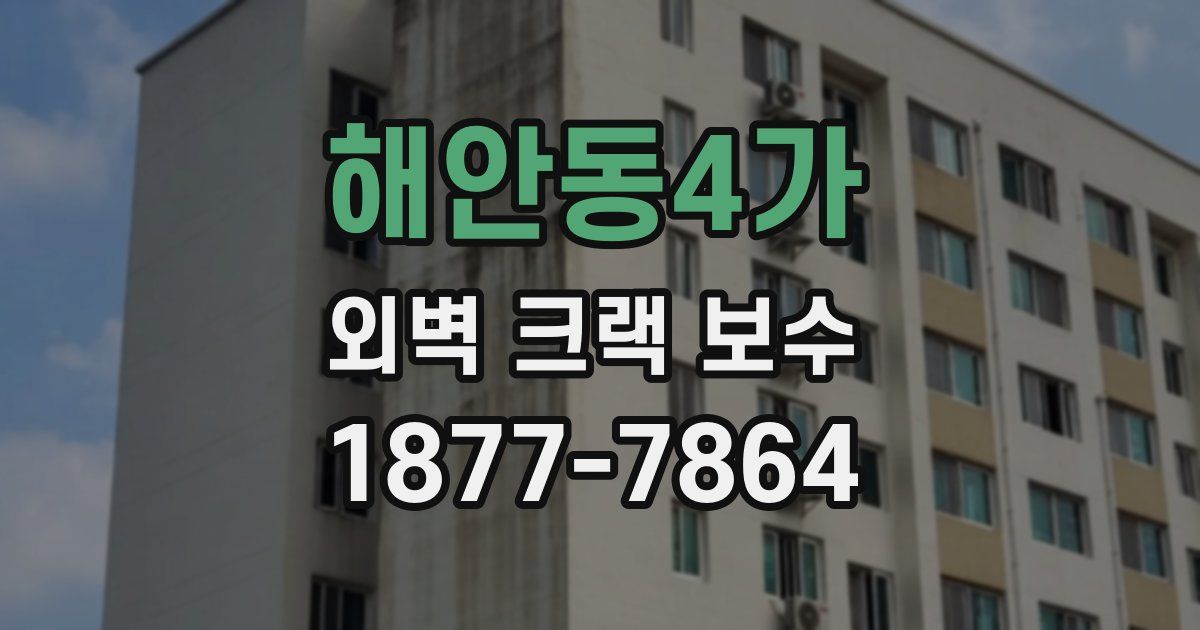 해안동4가 외벽 크랙 보수