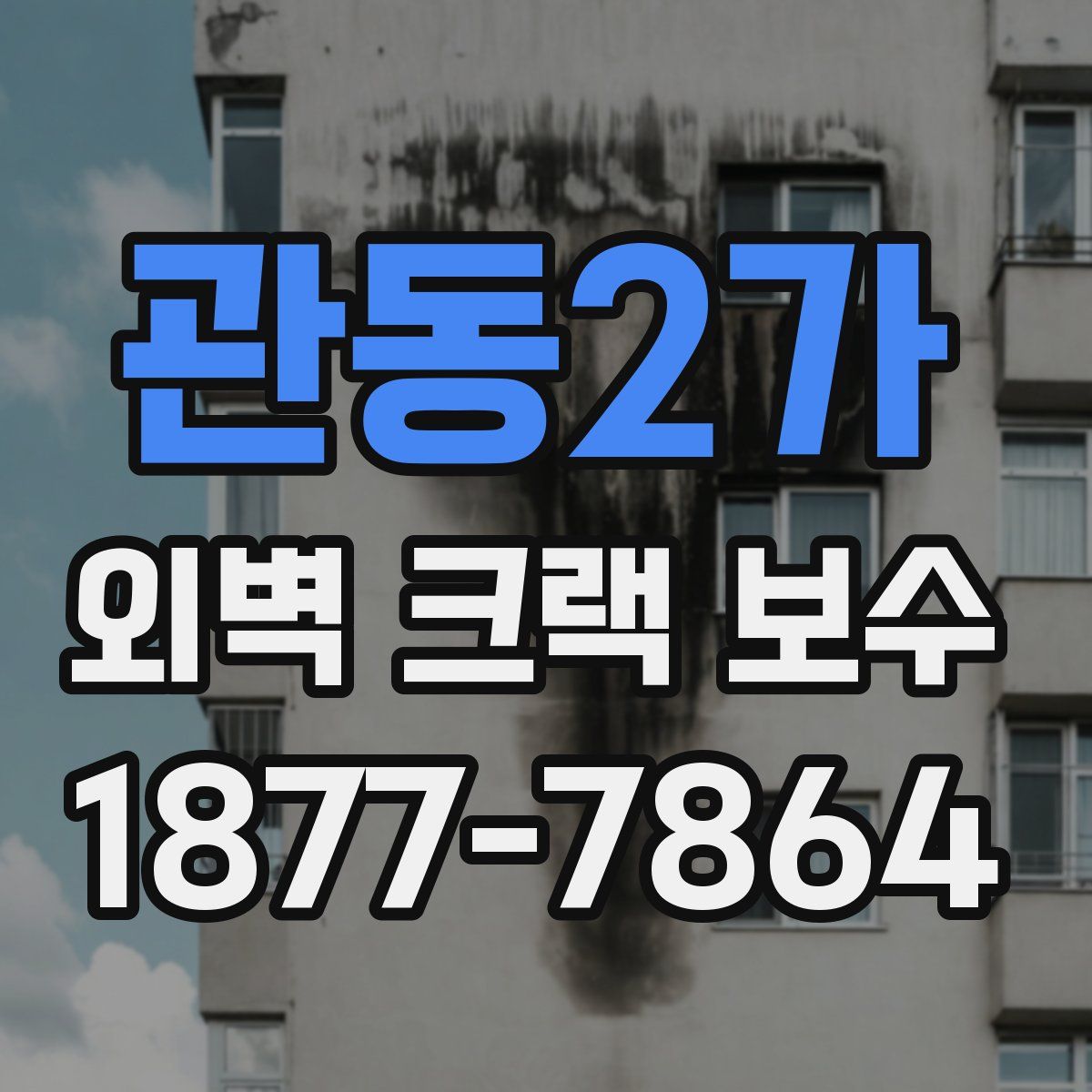 관동2가 외벽 크랙 보수