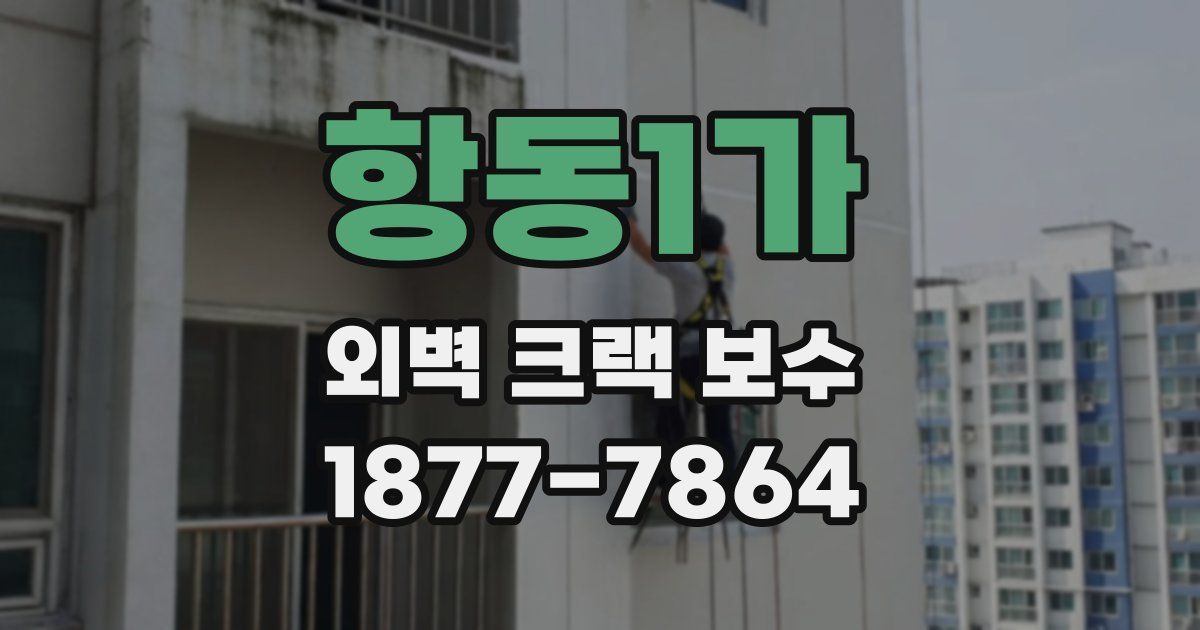 항동1가 외벽 크랙 보수
