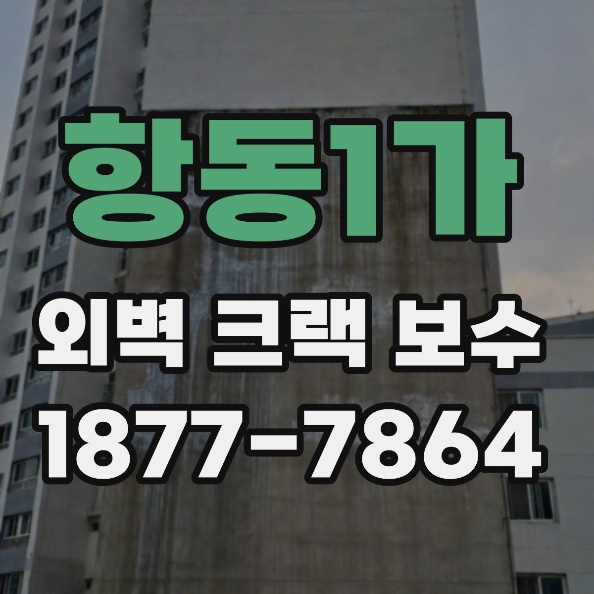 항동1가 외벽 크랙 보수