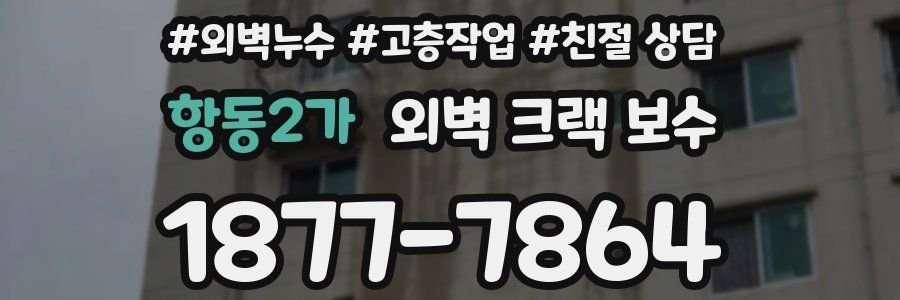 항동2가 외벽 크랙 보수