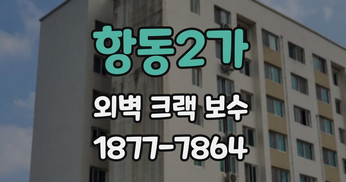 항동2가 외벽 크랙 보수