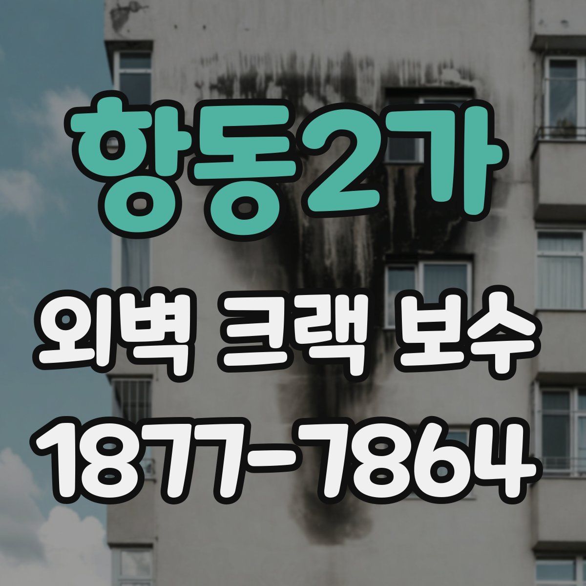 항동2가 외벽 크랙 보수