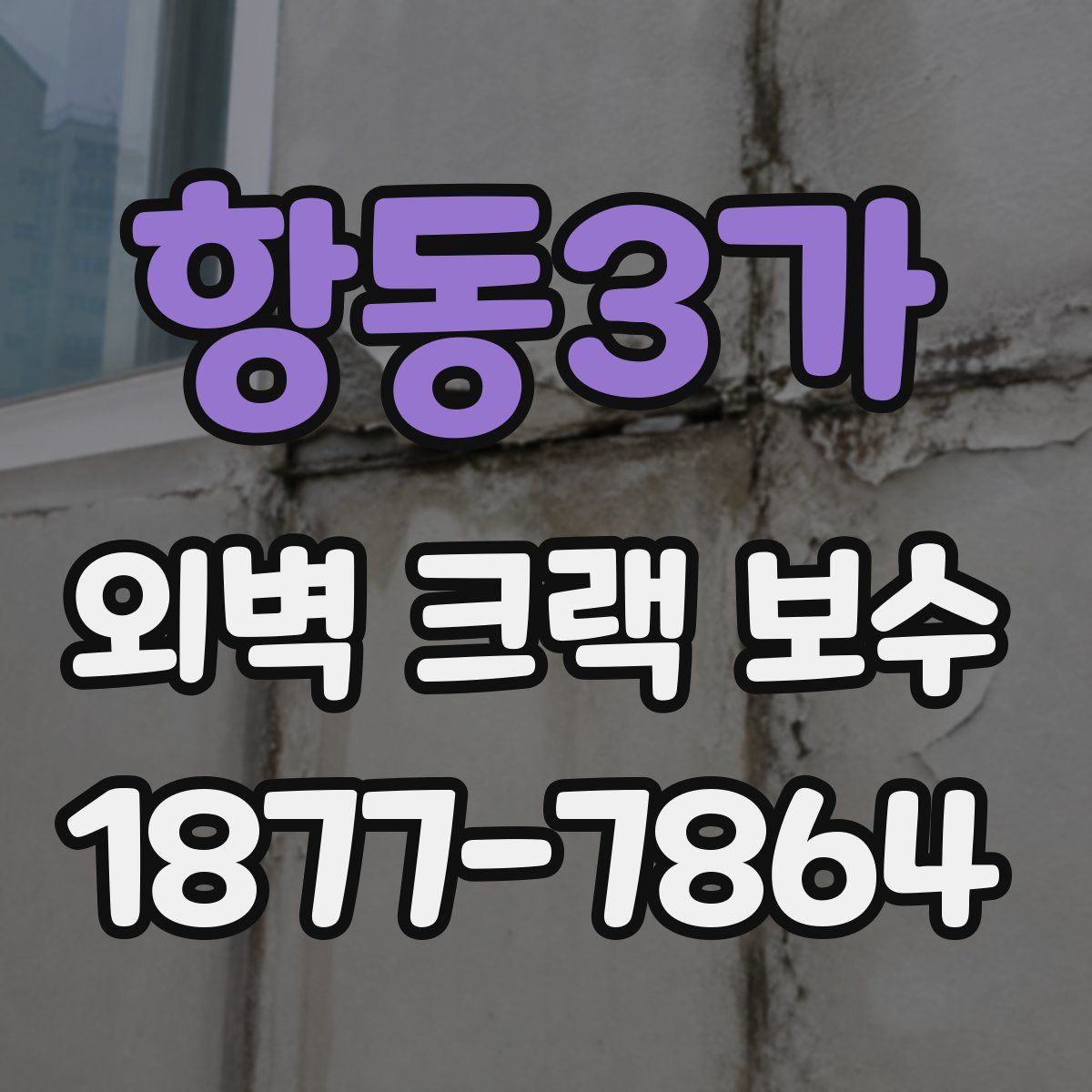 항동3가 외벽 크랙 보수