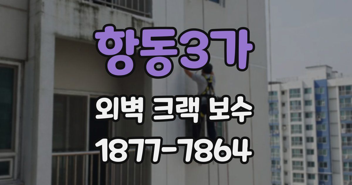 항동3가 외벽 크랙 보수