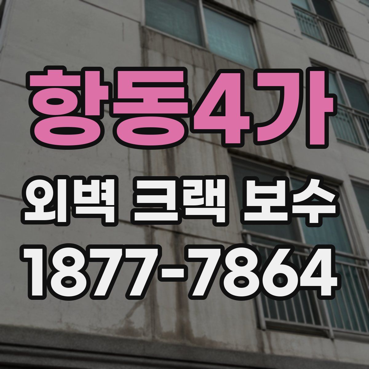 항동4가 외벽 크랙 보수