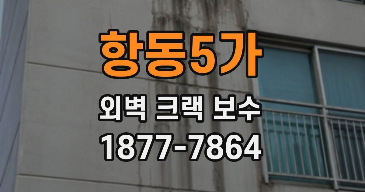 항동5가 외벽 크랙 보수