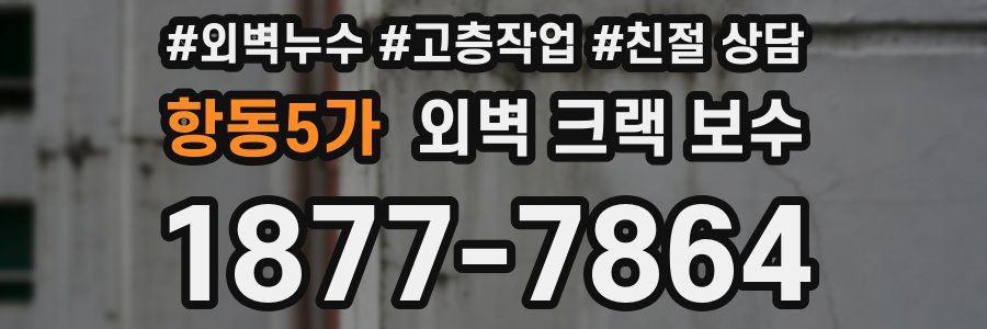 항동5가 외벽 크랙 보수