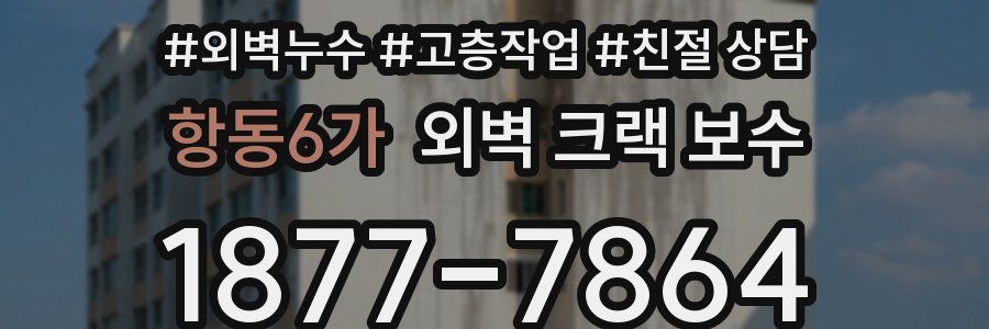항동6가 외벽 크랙 보수