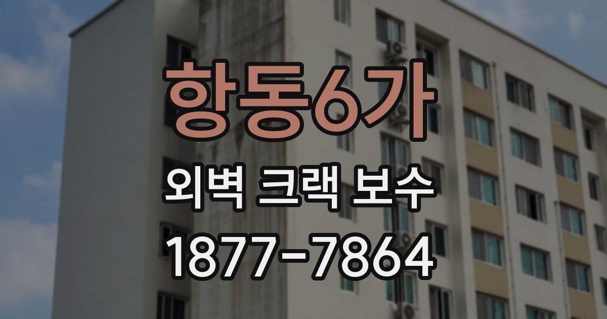 항동6가 외벽 크랙 보수